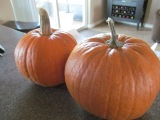 Make-Me-Something Pumpkins & A Special Delivery
